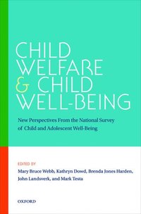 bokomslag Child Welfare and Child Well-Being