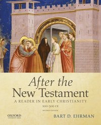 bokomslag After the New Testament: 100-300 C.E.