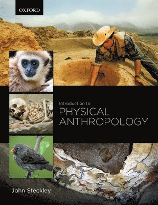 John StEckley - Introduction to Physical Anthropology, Häftad