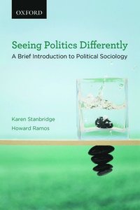 bokomslag Seeing Politics Differently