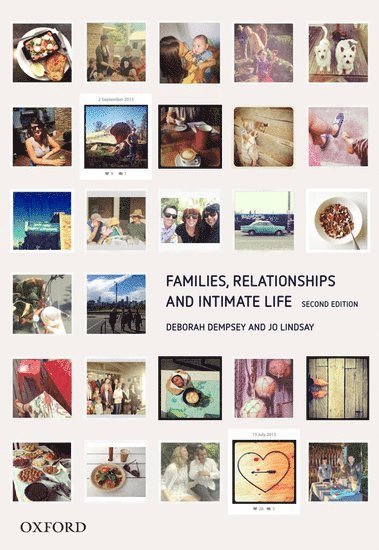 bokomslag Families, Relationships and Intimate Life