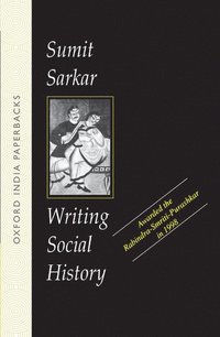 bokomslag Writing Social History