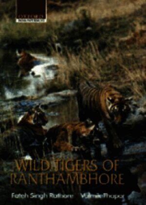 Wild Tigers of Ranthambhore