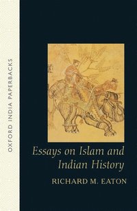 bokomslag Essays on Islam and Indian History