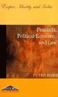 bokomslag Peasants, Political Economy, and Law: Empire, Identity, and India