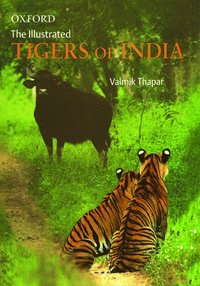 bokomslag Illustrated Tigers of India