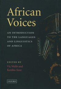 bokomslag African Voices
