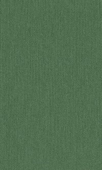 bokomslag The Bright-Meyler Papers