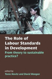 bokomslag The Role of Labour Standards in Development
