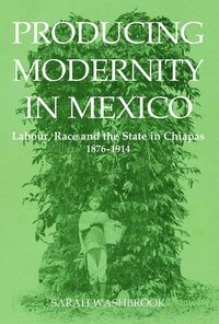 bokomslag Producing Modernity in Mexico