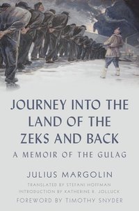 bokomslag Journey into the Land of the Zeks and Back