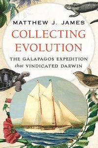 bokomslag Collecting Evolution