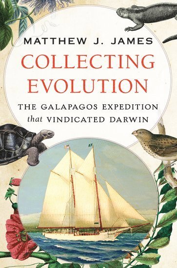 Collecting Evolution 1