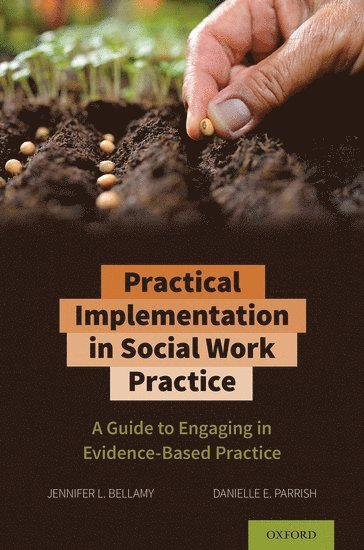 Practical Implementation in Social Work Practice 1