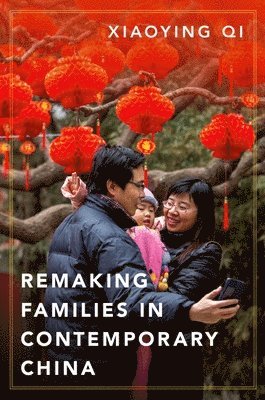 bokomslag Remaking Families in Contemporary China