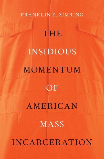 bokomslag Insidious Momentum of American Mass Incarceration