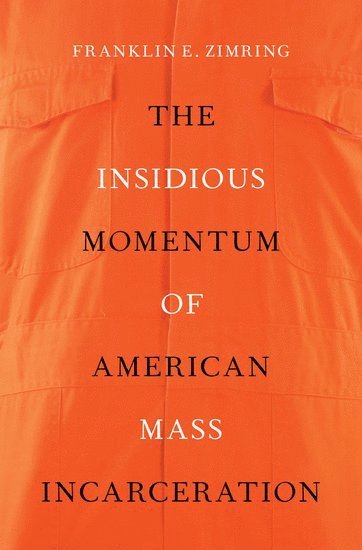 bokomslag The Insidious Momentum of American Mass Incarceration