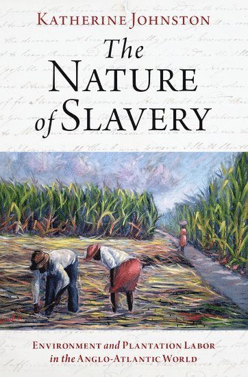 bokomslag Nature of Slavery