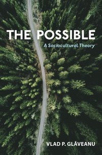 bokomslag The Possible