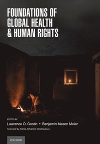 bokomslag Foundations of Global Health & Human Rights