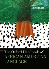 bokomslag The Oxford Handbook of African American Language