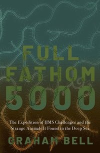 bokomslag Full Fathom 5000