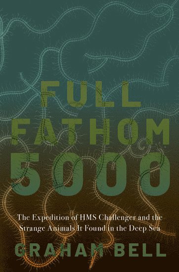 bokomslag Full Fathom 5000