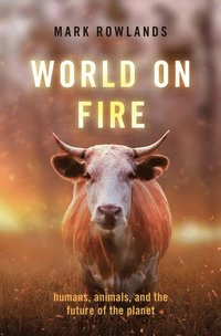 bokomslag World on Fire
