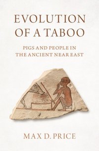 bokomslag Evolution of a Taboo