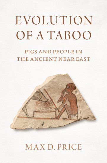 bokomslag Evolution of a Taboo