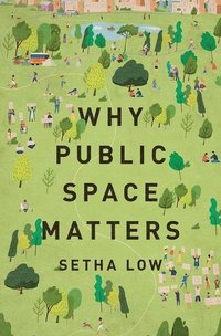 bokomslag Why Public Space Matters