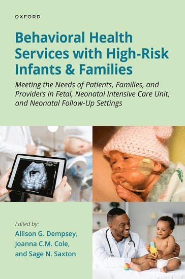 bokomslag Behavioral Health Services with High-Risk Infants and Families