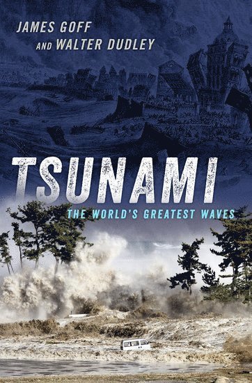 Tsunami 1