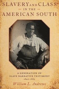 bokomslag Slavery and Class in the American South