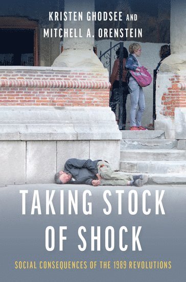 bokomslag Taking Stock of Shock