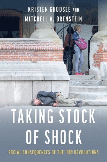 bokomslag Taking Stock of Shock