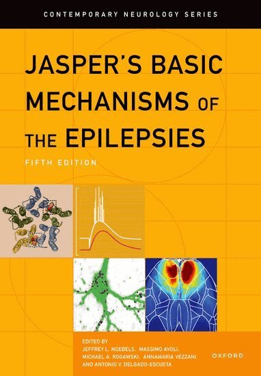 Jeffrey L. Noebels, Massimo Avoli, Michael A. Rogawski, Annamaria Vezzani, Antonio V. Delgado-Escueta - Jasper's Basic Mechanisms of the Epilepsies, Inbunden