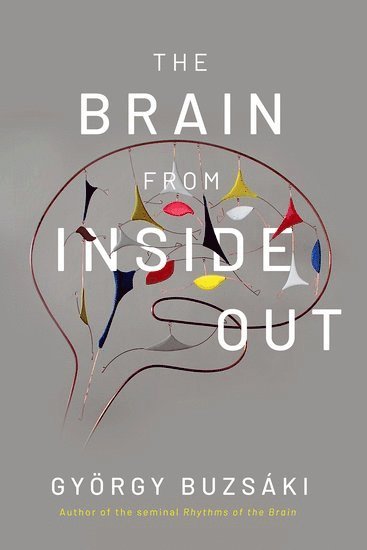 bokomslag The Brain from Inside Out