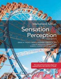 bokomslag Sensation and Perception