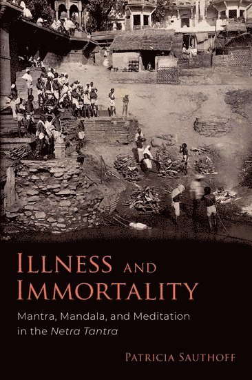 bokomslag Illness and Immortality