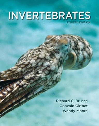Richard C. Brusca, Gonzalo Giribet, Wendy Moore - Invertebrates, Häftad