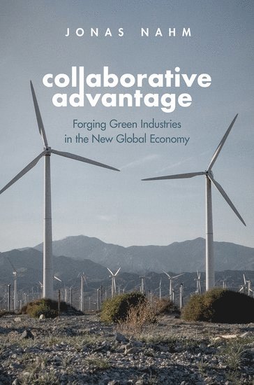 bokomslag Collaborative Advantage