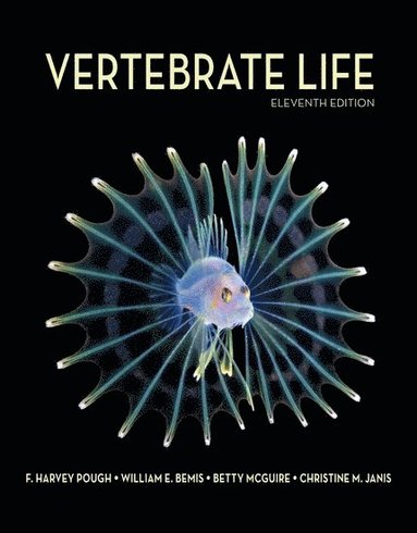 bokomslag Vertebrate Life