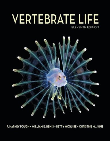 bokomslag Vertebrate Life