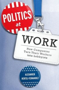 bokomslag Politics at Work