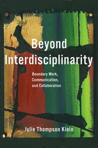 bokomslag Beyond Interdisciplinarity