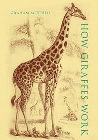 bokomslag How Giraffes Work