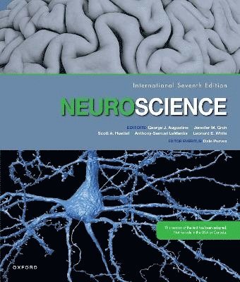 Neuroscience 1