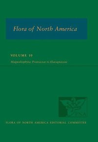 bokomslag Flora of North America: Volume 10, Magnoliophyta: Proteaceae to Elaeagnaceae