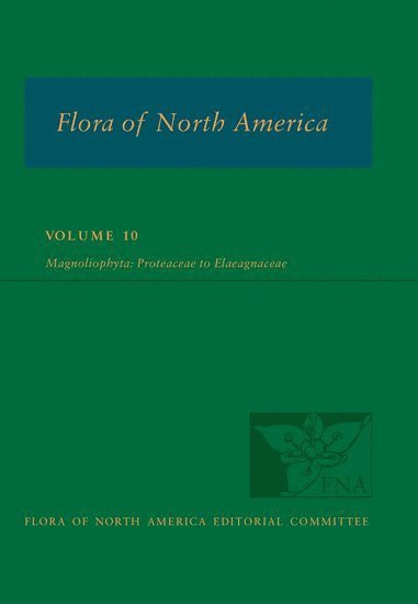 bokomslag Flora of North America: Volume 10, Magnoliophyta: Proteaceae to Elaeagnaceae